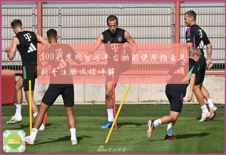 500彩票网官方平台功能使用指南及新手注册流程详解