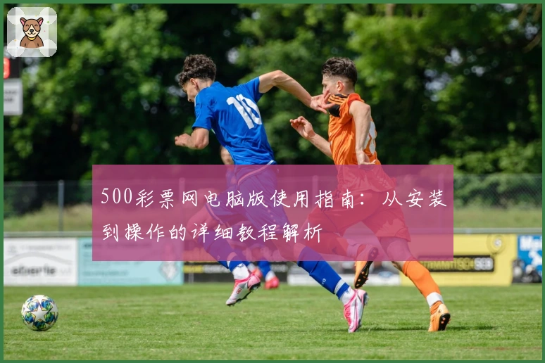 500彩票网电脑版使用指南：从安装到操作的详细教程解析