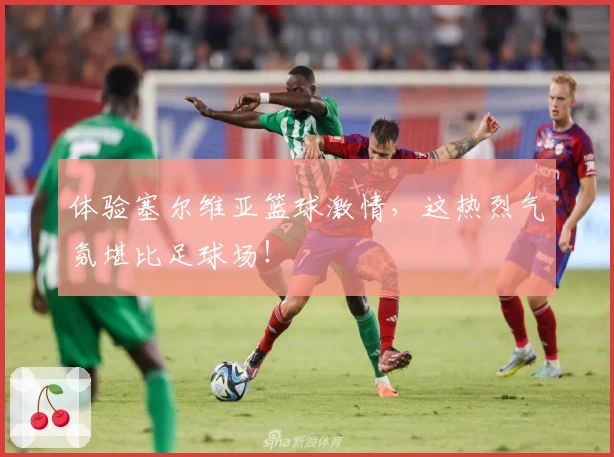 体验塞尔维亚篮球激情，这热烈气氛堪比足球场！