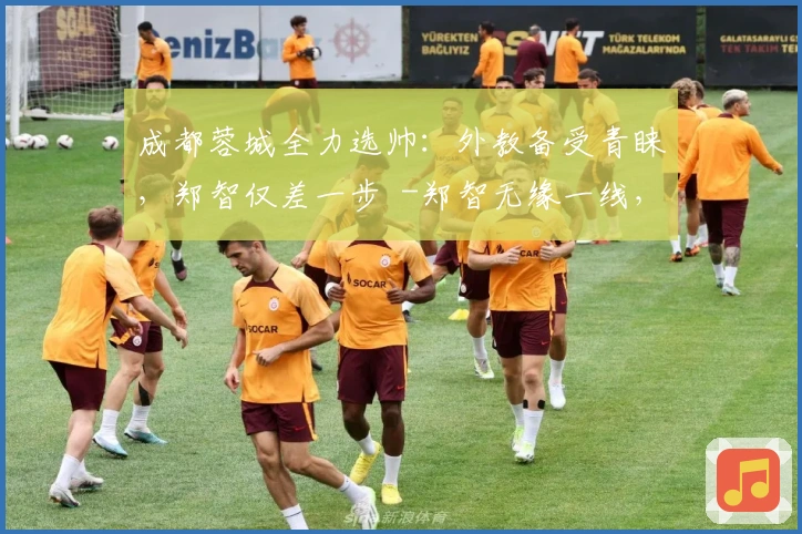 成都蓉城全力选帅：外教备受青睐，郑智仅差一步 -郑智无缘一线，成都蓉城紧锣密鼓选外教